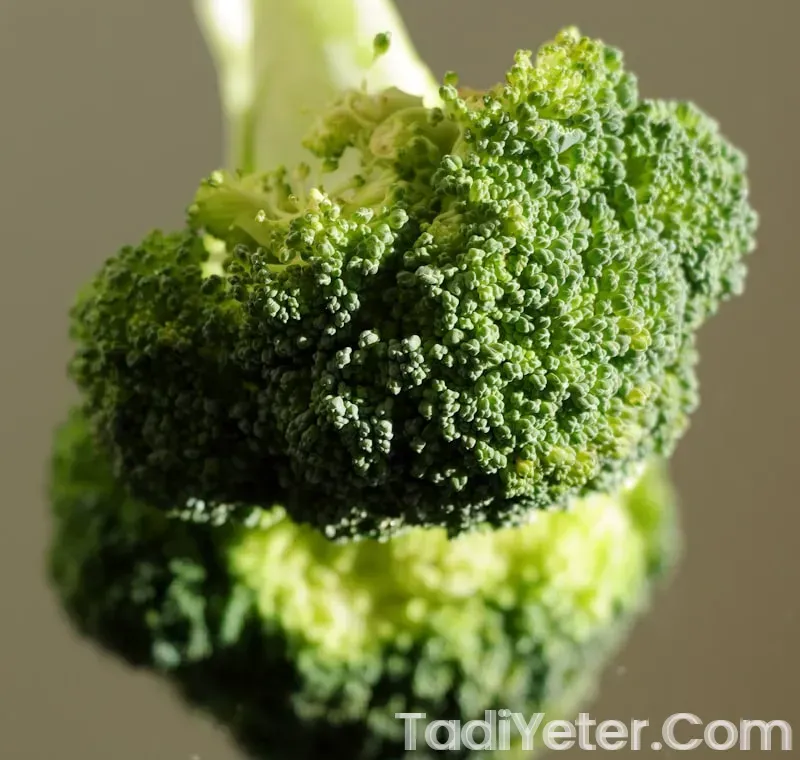 sebzeli brokoli çorbası