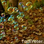 Soft içecekler nelerdir