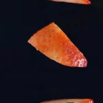 soslu makarna tarifleri oktay usta