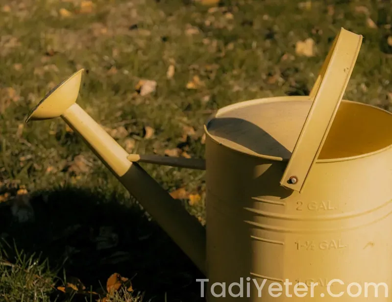 supermac's party buckets menu supermac's party buckets menu