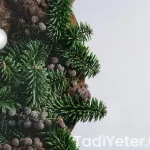 Susuz sebze yemekleri nelerdir