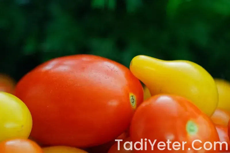 yaz sebzeleri nelerdir