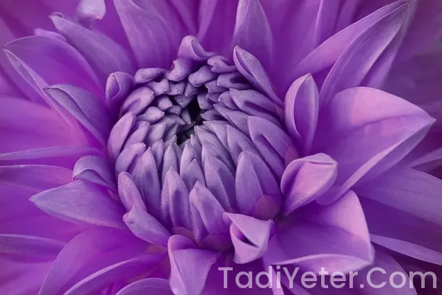 Yemek Tarifleri Pratik Yemek Tarifleri Pratik