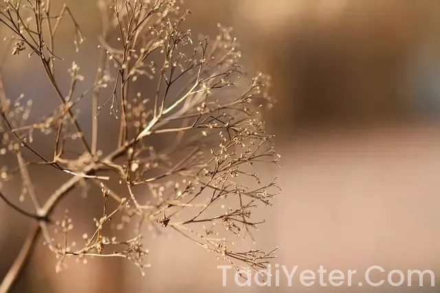 Yemek Tarifleri Pratik Yemek Tarifleri Pratik