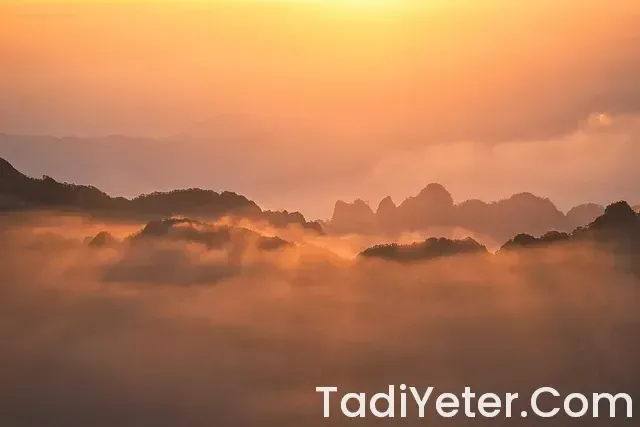 Yemek Yapma Oyunları