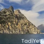 Yeşil çaya limon sıkılır mı